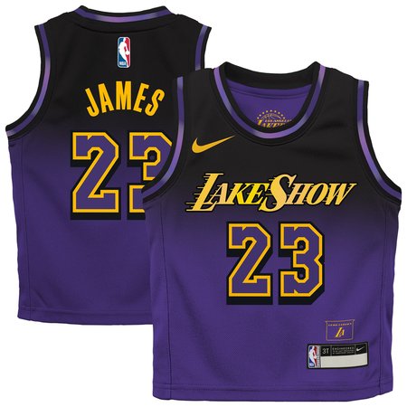 Toddler Los Angeles Lakers #23 LeBron James Purple 2024/25 Swingman City Edition Player Jersey