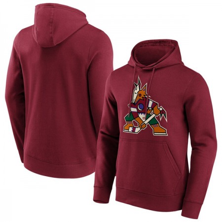 Men's Arizona Coyotes Red Iconic Primary Colour Logo Graphic Hoodie