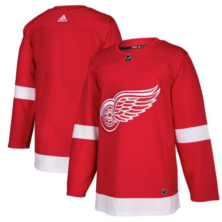 Men's Detroit Red Wings Red Stitched NHL Jersey