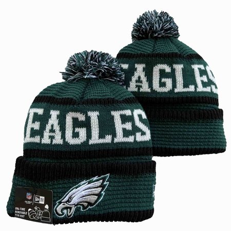 Philadelphia Eagles Beanies Knit Hat